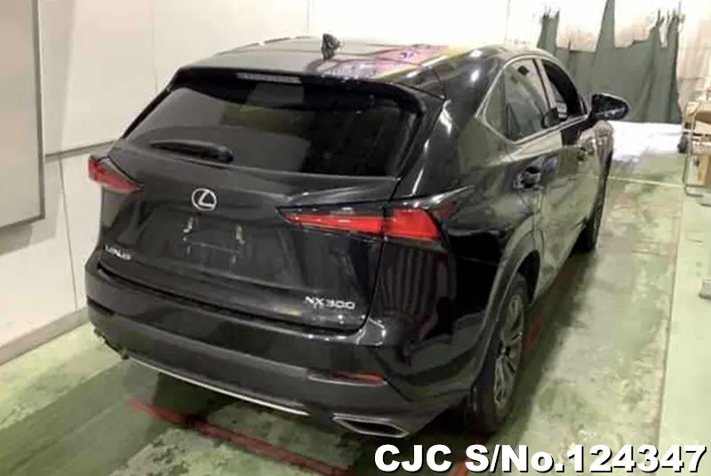 2017 Lexus / NX 300 Stock No. 124347