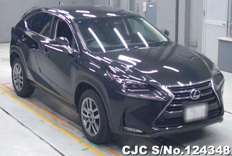 2017 Lexus / NX 200 Stock No. 124348