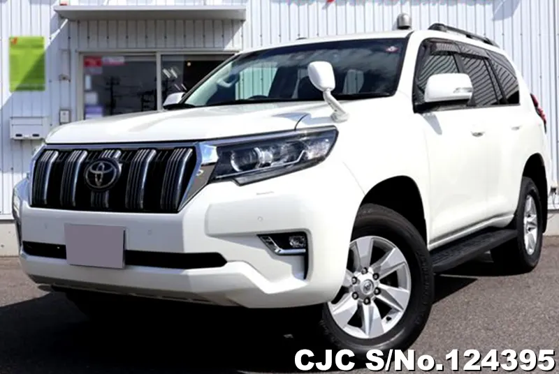 Toyota / Land Cruiser Prado 2008