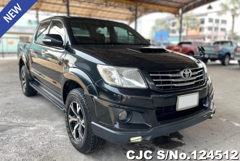 Toyota / Hilux / Vigo