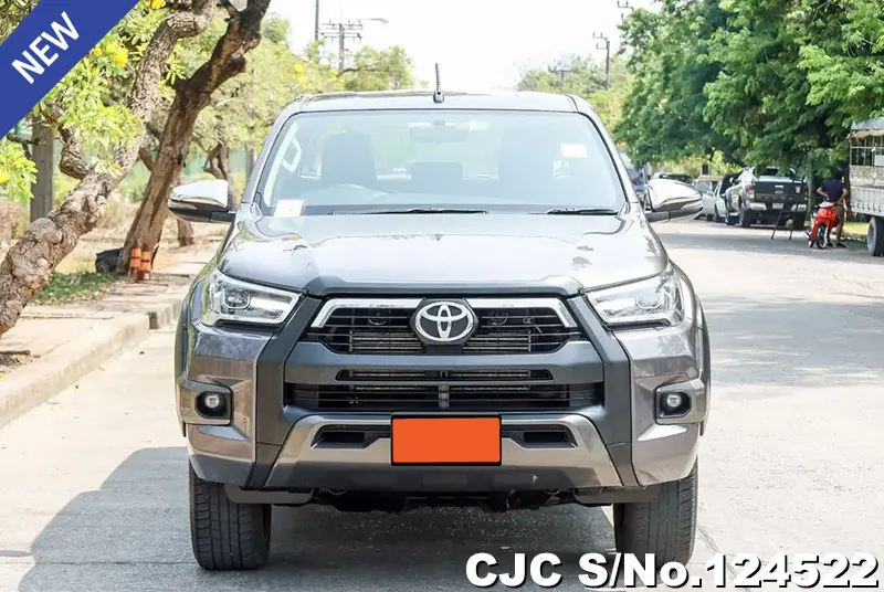 Toyota Hilux in Gray for Sale Image 4