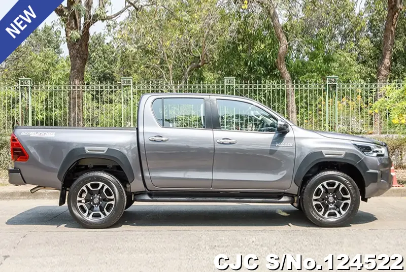 Toyota Hilux in Gray for Sale Image 6