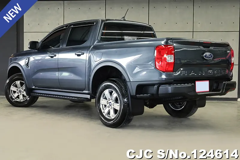 Ford Ranger in Gray for Sale Image 1