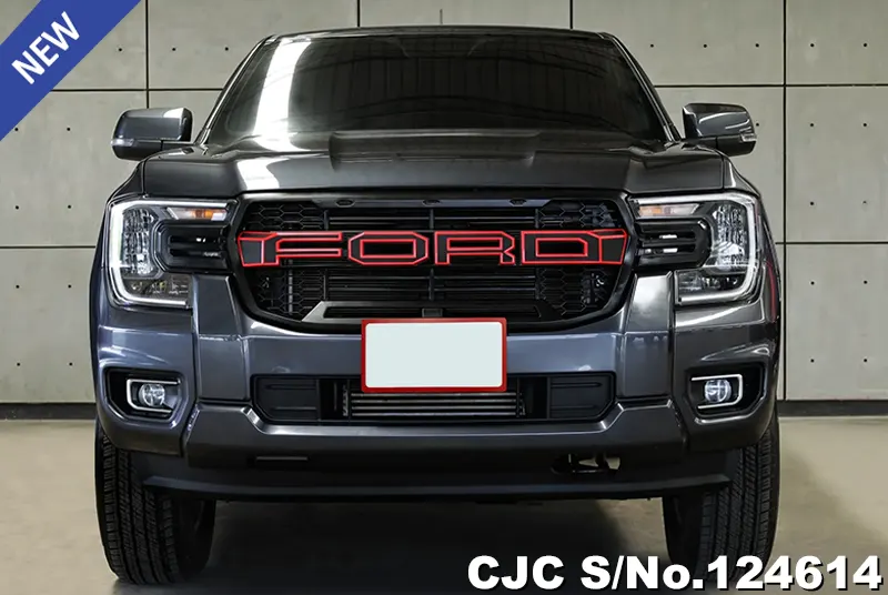 Ford Ranger in Gray for Sale Image 2