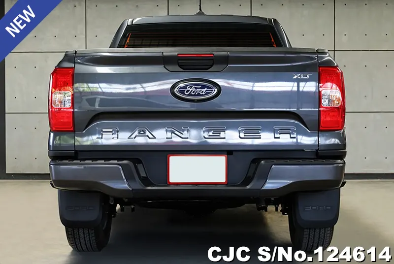 Ford Ranger in Gray for Sale Image 3