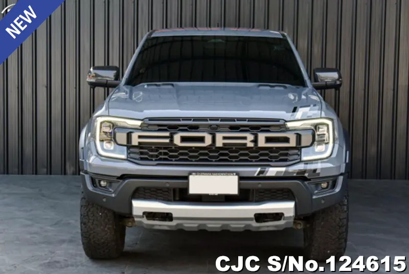 Ford Ranger in Gray for Sale Image 2