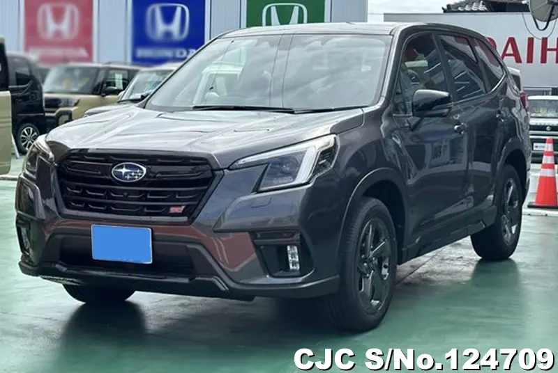 2024 Subaru / Forester Stock No. 124709