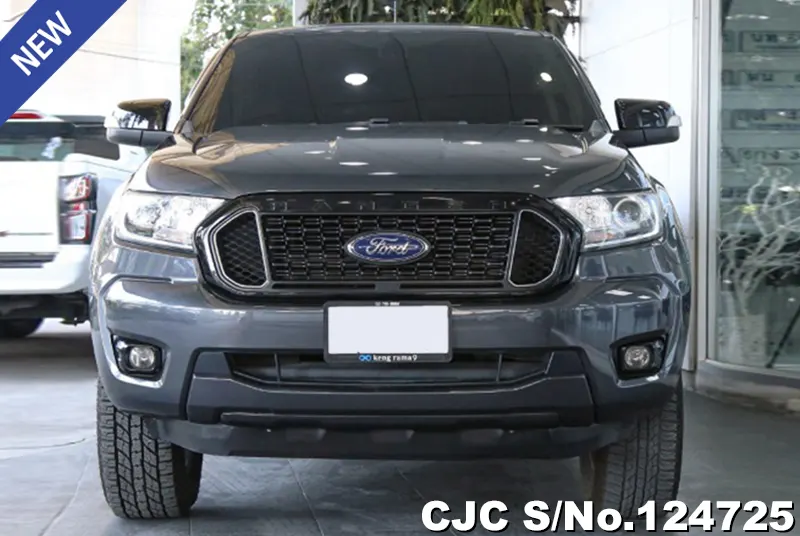 Ford Ranger in Gray for Sale Image 2