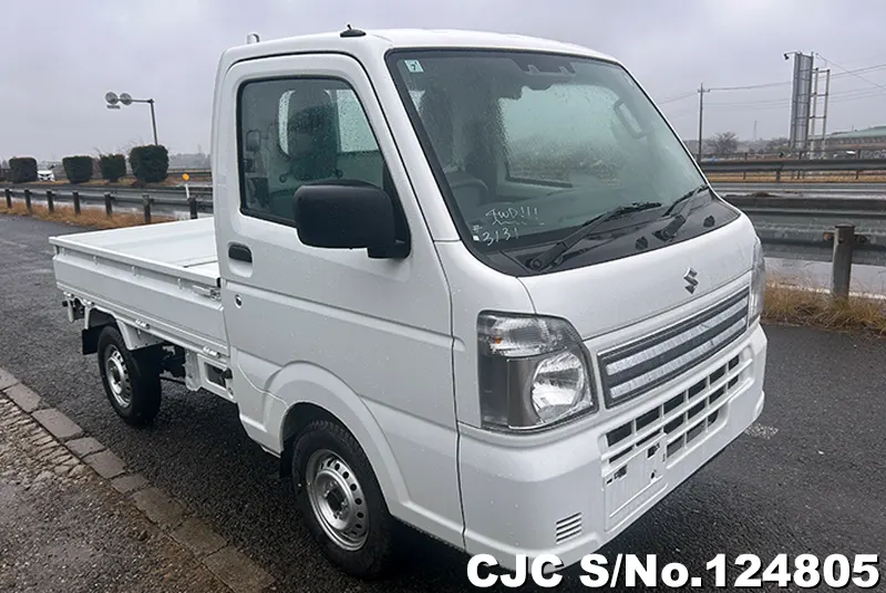 Suzuki Carry