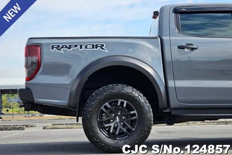 Ford Ranger in Gray for Sale Image 9