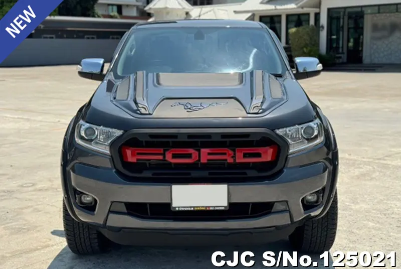 Ford Ranger in Gray for Sale Image 1