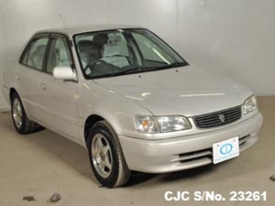 1998 Toyota Corolla Pearl for sale | Stock No. 23261 | Japanese Used ...