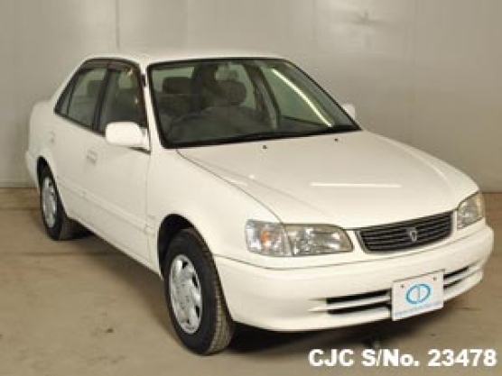 1998 Toyota Corolla White for sale | Stock No. 23478 | Japanese Used ...