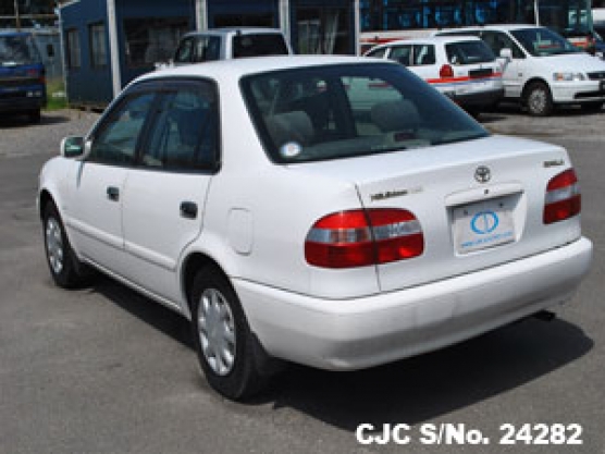 2000 Toyota Corolla White For Sale Stock No 24282 Japanese Used Cars Exporter