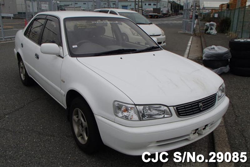 2005 Toyota Corolla White for sale | Stock No. 22469 | Japanese Used ...