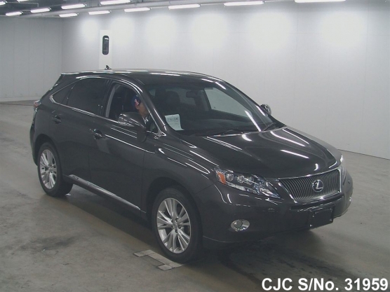 2010 Lexus / RX 450H Stock No. 31959