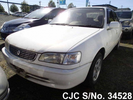 1998 Toyota / Corolla Stock No. 34528