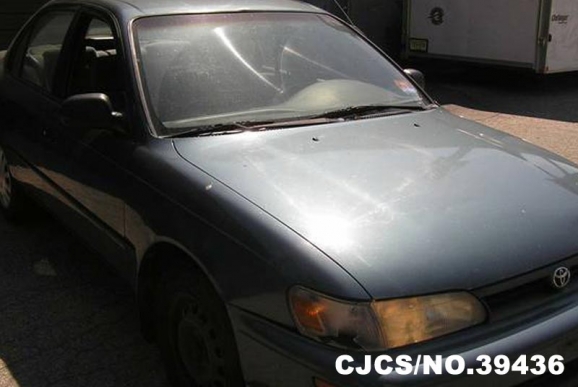 1995 Toyota / Corolla Stock No. 39436