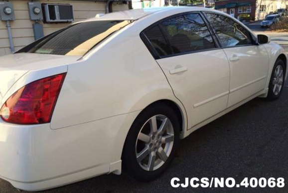 2006 nissan maxima white