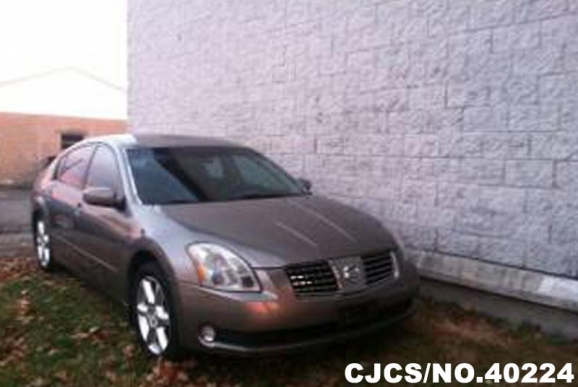 2004 Nissan / Maxima Stock No. 40224