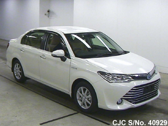 2015 Toyota / Corolla Axio Stock No. 40929