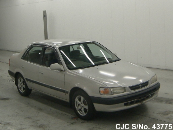 1995 Toyota / Corolla Stock No. 43775