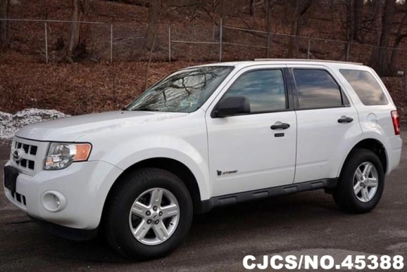 2010 Ford / Escape Stock No. 45388