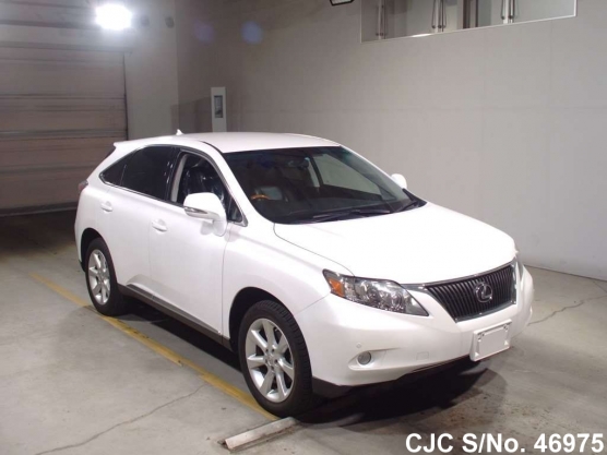 2010 Lexus / RX270 Stock No. 46975