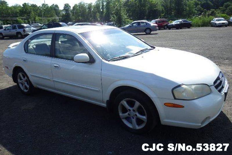 2000 nissan maxima white