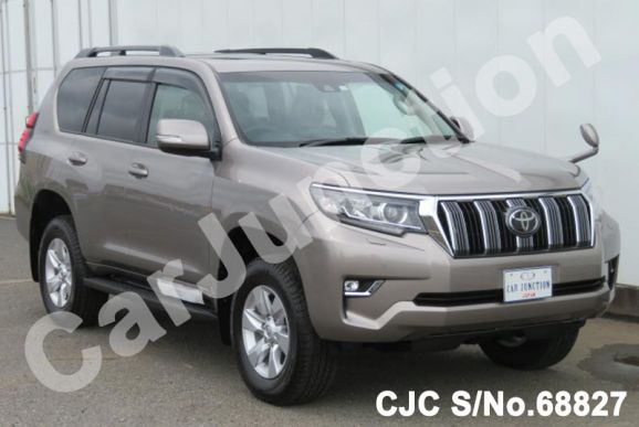 2018 Toyota / Land Cruiser Prado Stock No. 68827