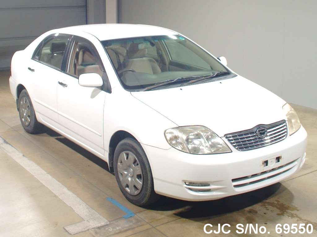 2003 Toyota Corolla White for sale Stock No. 69550 Japanese