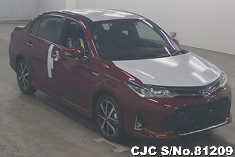 Toyota corolla axio 2019