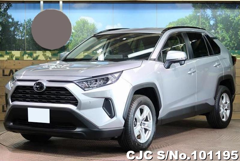 2019 Toyota Rav4 Silver for sale | Stock No. 101195 | Japanese Used ...