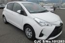 Toyota Vitz in White for Sale Image 0