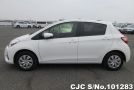 Toyota Vitz in White for Sale Image 7