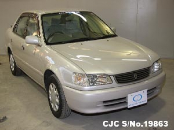 2000 Toyota / Corolla Stock No. 19879