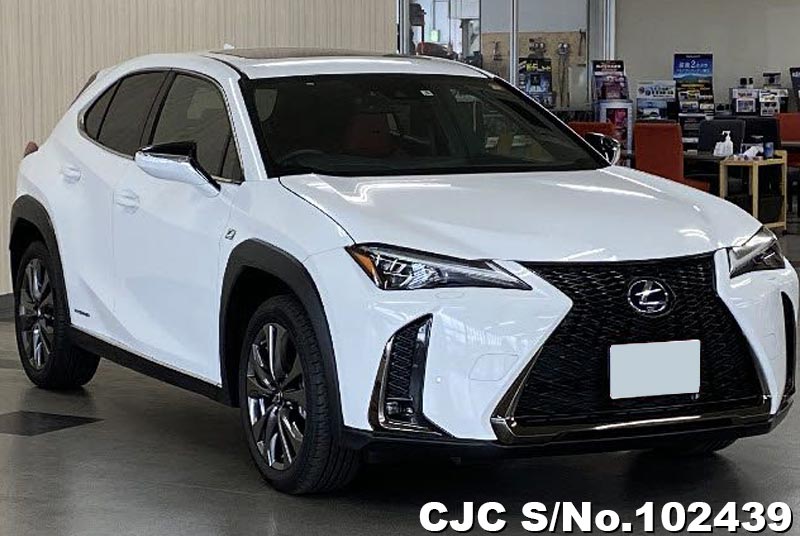 2021 Lexus UX 250H White for sale | Stock No. 102439 | Japanese Used ...