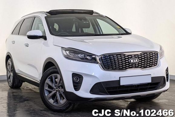 Kia Sorento in White for Sale Image 0