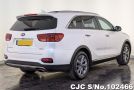 Kia Sorento in White for Sale Image 1