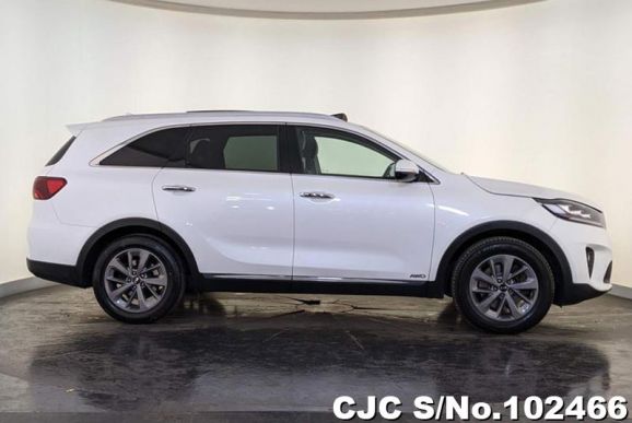 Kia Sorento in White for Sale Image 6