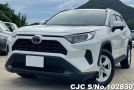 Toyota Rav4 in White for Sale Image 0