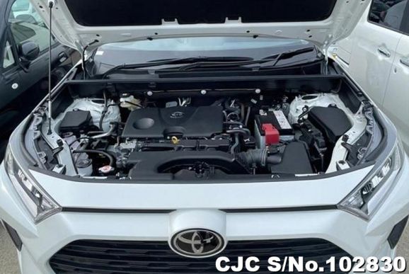 Toyota Rav4 in White for Sale Image 13