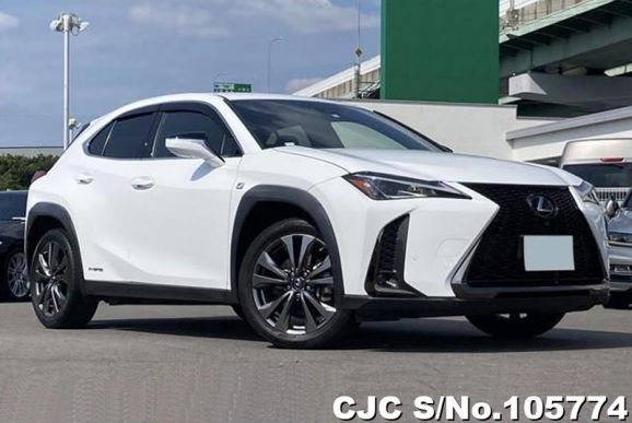 Lexus UX 250H in White for Sale Image 0