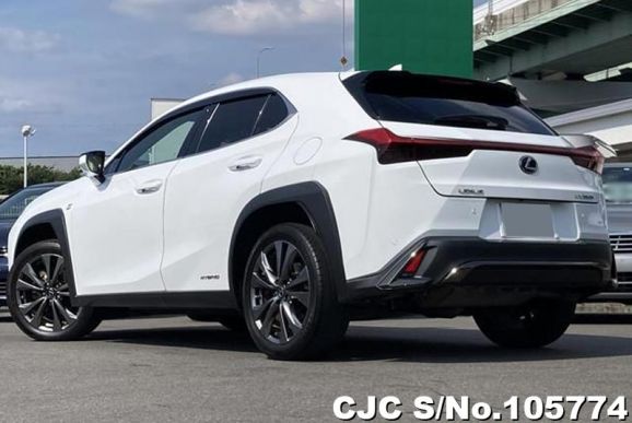 Lexus UX 250H in White for Sale Image 1