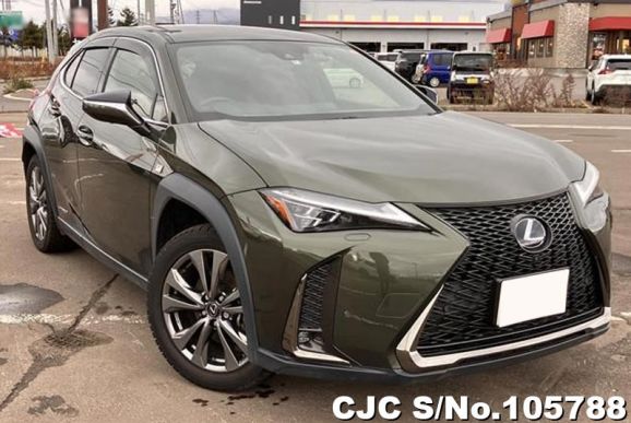 Lexus UX 250H in Khaki for Sale Image 0