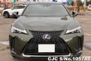 Lexus UX 250H in Khaki for Sale Image 4