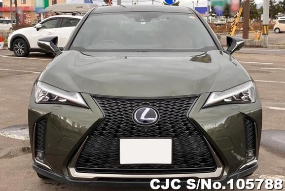 Lexus UX 250H in Khaki for Sale Image 4