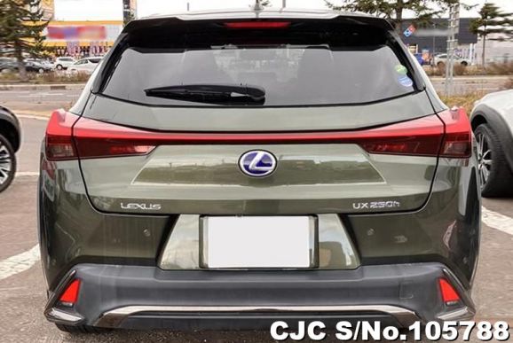 Lexus UX 250H in Khaki for Sale Image 5