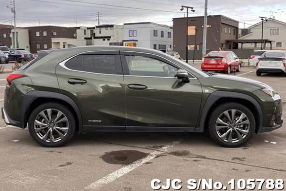 Lexus UX 250H in Khaki for Sale Image 6