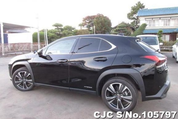 Lexus UX 250H in Black for Sale Image 4